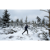 Young man cross-country skiing through snowy alpine landscape (motion blurred image)