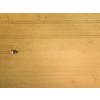 Tractor spraying crops in field, aerial view from drone pov