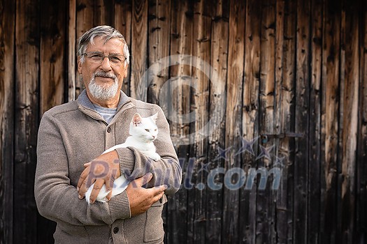 An elderly man holds a cute white kitten and smiles to the camera, selective focus, plenty of copy space An elderly man holds a cute white kitten and smiles to the camera, selective focus, plenty of copy space