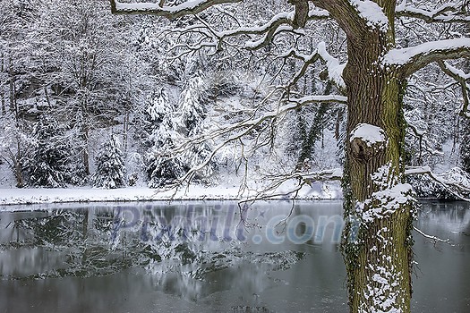 Winter landscape, winter forest trees covered with frost and snow, frozen lake in the winter forest. Winter landscape, winter forest trees covered with frost and snow, frozen lake in the winter forest.