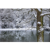 Winter landscape, winter forest trees covered with frost and snow, frozen lake in the winter forest.