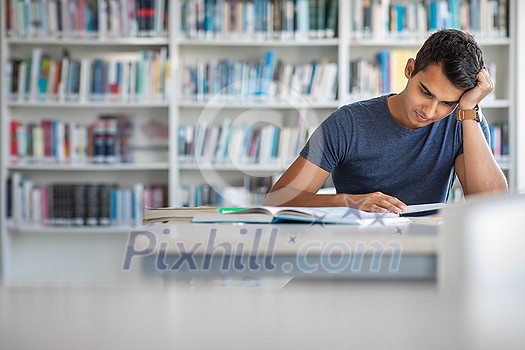 Students in a library - handsome student reading a book for his class in a bright modern library Students in a library - handsome student reading a book for his class in a bright modern library