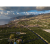 Banana plantation - Banana trees in the garden by the sea, Tenerife, The Canary Islands - Aerial Image