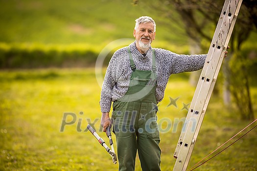 Senior gardener gardening in his permaculture garden - getting ready for the season, carrying out the necessary springtime tasks Senior gardener gardening in his permaculture garden - getting ready for the season, carrying out the necessary springtime tasks