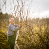 Senior gardener gardening in his permaculture garden - getting ready for the season, carrying out the necessary springtime tasks