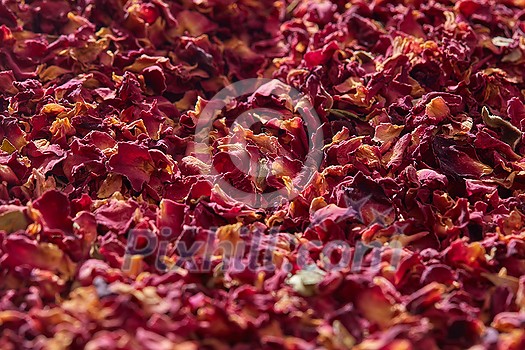 Natural aromatic rose petals used as background with soft focus, close up, horizontal backdrop. Romantic backdrop with dried flowers. Natural aromatic rose petals used as background with soft focus, close up, horizontal backdrop. Romantic backdrop with dried flowers.