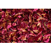 Close up of natural dried pink rose petals, full frame. Creative backdrop with floral theme.