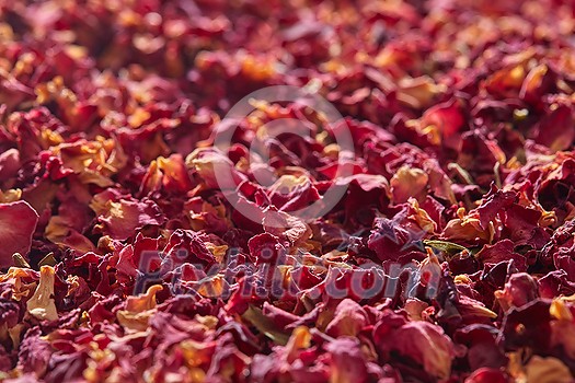 Natural dried pink rose petals in selective focus, close up, horizontal backdrop. Beautiful backdrop with floral theme. Natural dried pink rose petals in selective focus, close up, horizontal backdrop. Beautiful backdrop with floral theme.