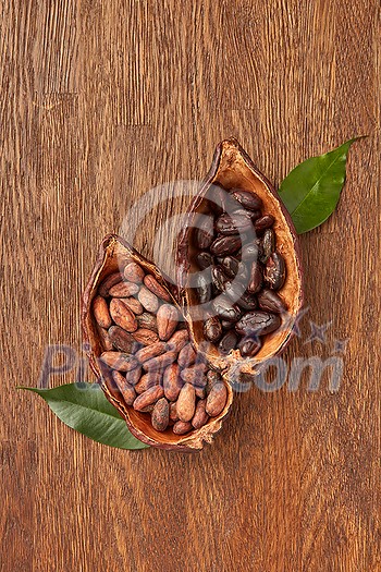 Top view halves of cocoa tree pods filled with piles of peeled and unpeeled beans on wooden surface Top view halves of cocoa tree pods filled with piles of peeled and unpeeled beans on wooden surface