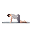 Pregnancy yoga exercise - pregnant woman doing asana cow pose Bitilasana isolated on white background