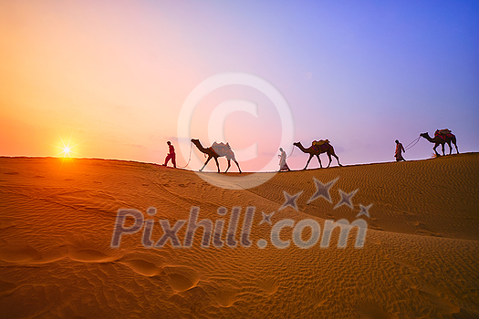 Indian cameleers (camel driver) bedouin with camel silhouettes in sand dunes of Thar desert on sunset. Caravan in Rajasthan travel tourism background safari adventure. Jaisalmer, Rajasthan, India Indian cameleers (camel driver) bedouin with camel silhouettes in sand dunes of Thar desert on sunset. Caravan in Rajasthan travel tourism background safari adventure. Jaisalmer, Rajasthan, India