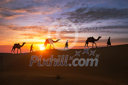 Indian cameleers (camel driver) bedouin with camel silhouettes in sand dunes of Thar desert on sunset. Caravan in Rajasthan travel tourism background safari adventure. Jaisalmer, Rajasthan, India Indian cameleers (camel driver) bedouin with camel silhouettes in sand dunes of Thar desert on sunset. Caravan in Rajasthan travel tourism background safari adventure. Jaisalmer, Rajasthan, India