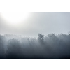 Foggy carpathian landscape in morning light. Autumnal nature scenery at sunrise.