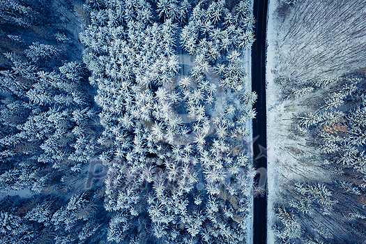 Aerial image of a winter landscape, winter forest trees covered with frost and snow (color toned image) Aerial image of a winter landscape, winter forest trees covered with frost and snow (color toned image)