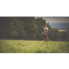 Pretty, young, redhead woman with her lovely horse, during her favorite leisure