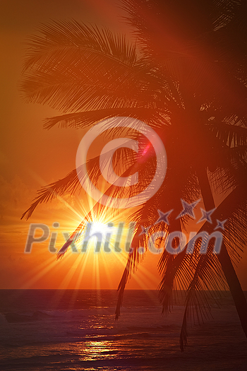 Beach resort vacation holidays background - tropical ocean sunset scene with palms. Copyspace Beach resort vacation holidays background - tropical ocean sunset scene with palms. Copyspace