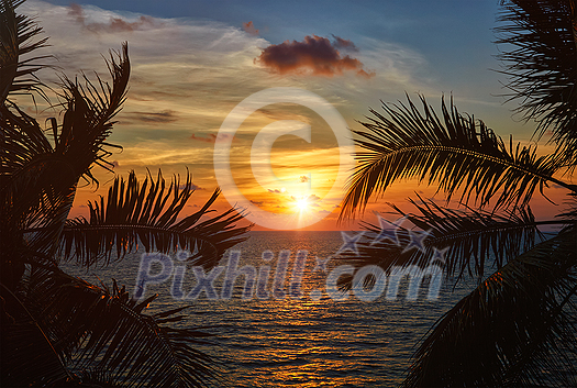 Beach vacation romantic holidays background - ocean sunset visible through palm leaves. Varkala, Kerala, India Beach vacation romantic holidays background - ocean sunset visible through palm leaves. Varkala, Kerala, India