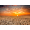 Global worming concept - cracked scorched earth soil drought desert landscape dramatic sunset