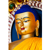 Gilded statue of Sakyamuni Buddha in Tsuglagkhang temple. McLeod Ganj, Himachal Pradesh, India