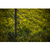 Electric fence around a pasture with animals grazing on fresh pasture grass