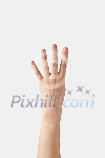Numeric count on fingers, female outer hand with wrist in vertical position with one, 4, four, fourth isolated on white background. Counting on fingers set. Numeric count on fingers, female outer hand with wrist in vertical position with one, 4, four, fourth isolated on white background. Counting on fingers set.
