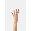 Numeric count on fingers, female outer hand with wrist in vertical position with one, 4, four, fourth isolated on white background. Counting on fingers set.