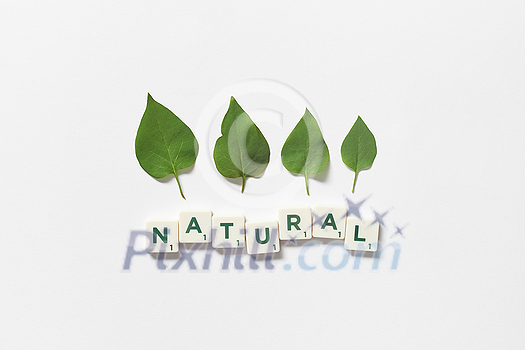 Natural word formed of scrabble tiles with green tree leaves on white background. Eco energy and natural resource conservation concept. Natural word formed of scrabble tiles with green tree leaves on white background. Eco energy and natural resource conservation concept.