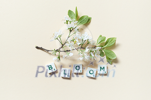Bloom word formed of scrabble tiles with delicate spring flower on beige background. Tender spring card design. Bloom word formed of scrabble tiles with delicate spring flower on beige background. Tender spring card design.