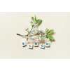 Bloom word formed of scrabble tiles with delicate spring flower on beige background. Tender spring card design.