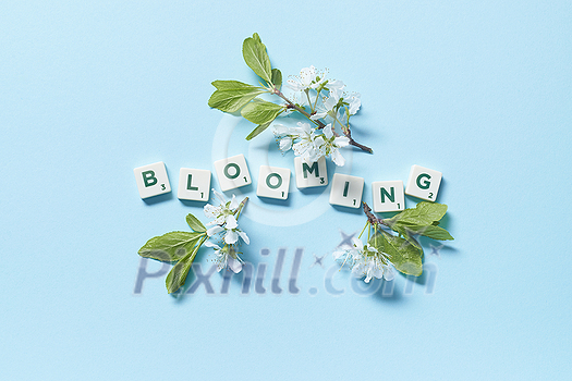 Blooming word formed of scrabble tiles with spring blossom on blue background. Blooming word formed of scrabble tiles with spring blossom on blue background.