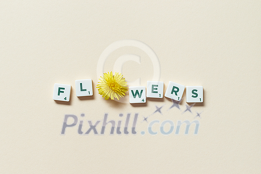 Flowers word formed of scrabble tiles with fresh dandelion flower on beige background. Tender spring card design. Flowers word formed of scrabble tiles with fresh dandelion flower on beige background. Tender spring card design.