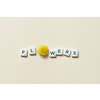 Flowers word formed of scrabble tiles with fresh dandelion flower on beige background. Tender spring card design.