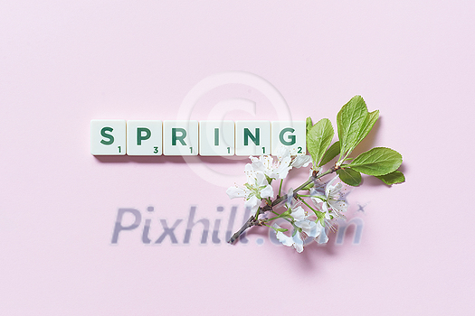 Spring word formed of scrabble tiles with fresh tree flowers on pink background. Original calendar template design. Spring word formed of scrabble tiles with fresh tree flowers on pink background. Original calendar template design.