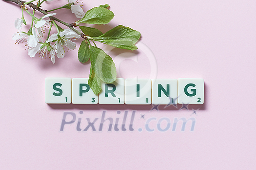 Spring word formed of scrabble tiles with fresh tree blossom on pink background. Creative seasonal template design in pastel colors. Spring word formed of scrabble tiles with fresh tree blossom on pink background. Creative seasonal template design in pastel colors.