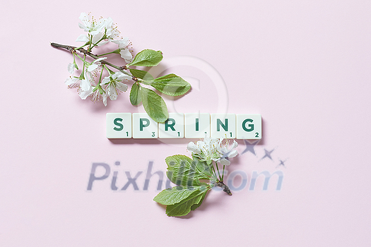 Spring word formed of scrabble tiles with fresh tree bloom on pink background. Tender calendar design in pastel colors. Spring word formed of scrabble tiles with fresh tree bloom on pink background. Tender calendar design in pastel colors.