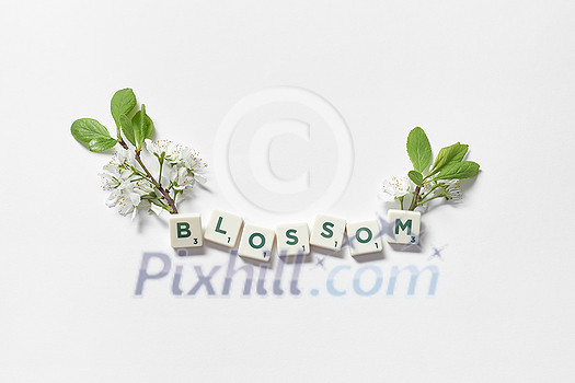 Blossom word formed of scrabble tiles with spring flower on white background. Blossom word formed of scrabble tiles with spring flower on white background.