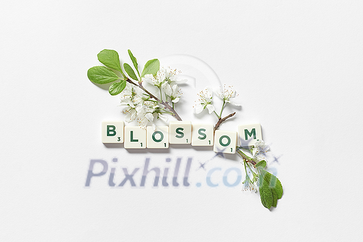 Blossom word formed of scrabble letters with spring bloom on white background. Blossom word formed of scrabble letters with spring bloom on white background.