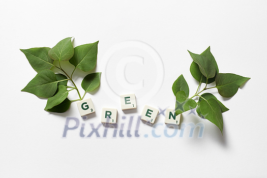Green word formed of scrabble tiles with fresh tree branches on white background. Green energy and ecology concept with spring mood. Green word formed of scrabble tiles with fresh tree branches on white background. Green energy and ecology concept with spring mood.