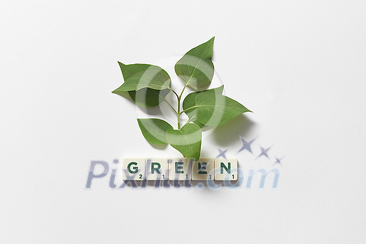 Green word formed of scrabble tiles with tree leaves on white background. Nature and renewable energy concept. Green word formed of scrabble tiles with tree leaves on white background. Nature and renewable energy concept.