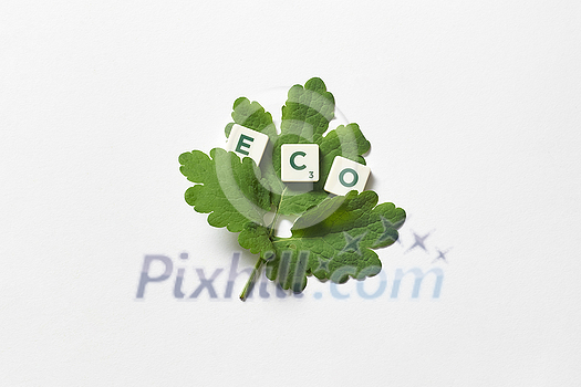 Eco word formed of scrabble tiles with green tree leaf on white background. Green energy and ecology concept with spring mood. Eco word formed of scrabble tiles with green tree leaf on white background. Green energy and ecology concept with spring mood.