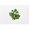 Eco word formed of scrabble tiles with green tree leaf on white background. Green energy and ecology concept with spring mood.