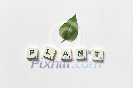 Plant word formed of scrabble tiles with green tree leaf on white background. Nature and renewable energy concept. Plant word formed of scrabble tiles with green tree leaf on white background. Nature and renewable energy concept.