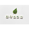 Plant word formed of scrabble tiles with green tree leaf on white background. Nature and renewable energy concept.