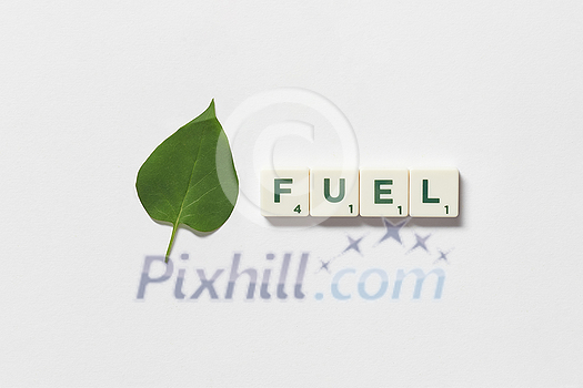 Fuel word formed of scrabble tiles with green tree leaf on white background. Nature and renewable energy concept. Fuel word formed of scrabble tiles with green tree leaf on white background. Nature and renewable energy concept.