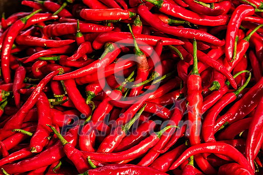 Red spicy chili peppers pile at asian market close up texture background. Sardar Market, Jodhpur, Rajasthan, India Red spicy chili peppers pile at asian market close up texture background. Sardar Market, Jodhpur, Rajasthan, India