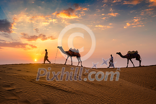 Indian cameleers (camel driver) bedouin with camel silhouettes in sand dunes of Thar desert on sunset. Caravan in Rajasthan travel tourism background safari adventure. Jaisalmer, Rajasthan, India Indian cameleers (camel driver) bedouin with camel silhouettes in sand dunes of Thar desert on sunset. Caravan in Rajasthan travel tourism background safari adventure. Jaisalmer, Rajasthan, India