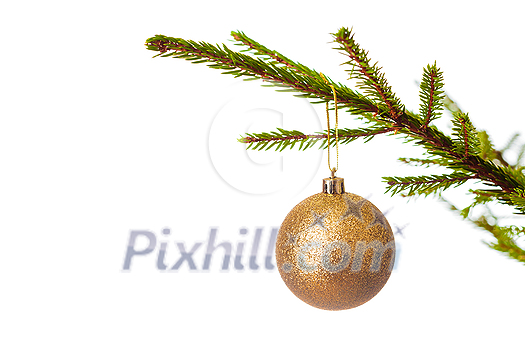 Christmas celebration holiday background with copyspace - Christmas-tree decoration bauble on decorated Christmas tree branch isolated on white background Christmas celebration holiday background with copyspace - Christmas-tree decoration bauble on decorated Christmas tree branch isolated on white background