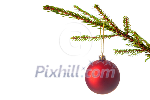 Christmas celebration holiday background with copyspace - Christmas-tree decoration bauble on decorated Christmas tree branch isolated on white background