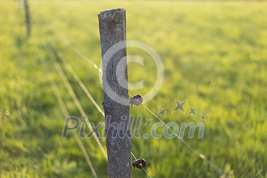 Electric fence around a pasture with animals grazing on fresh pasture grass Electric fence around a pasture with animals grazing on fresh pasture grass