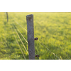 Electric fence around a pasture with animals grazing on fresh pasture grass